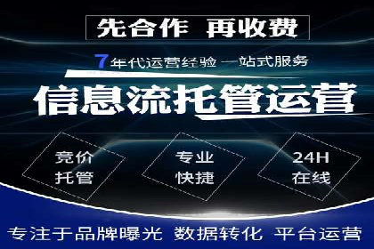 SEM广告案例：数据分析驱动营销决策